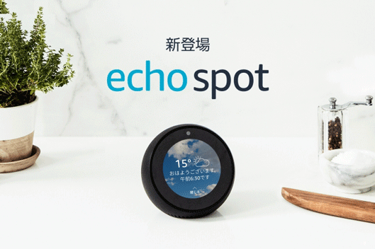 日本では2018年6月20日に「Amazon Echo Spot」が登場しました
新登場 echo spot