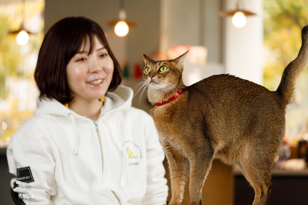 RABO　伊豫氏のファミリーの一員である猫はCCO（Chief Cat Officer）として重要な広報の役割を担っている