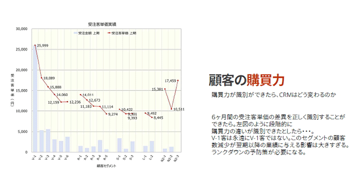 トリノリンクス 都度販売 顧客の購買力について