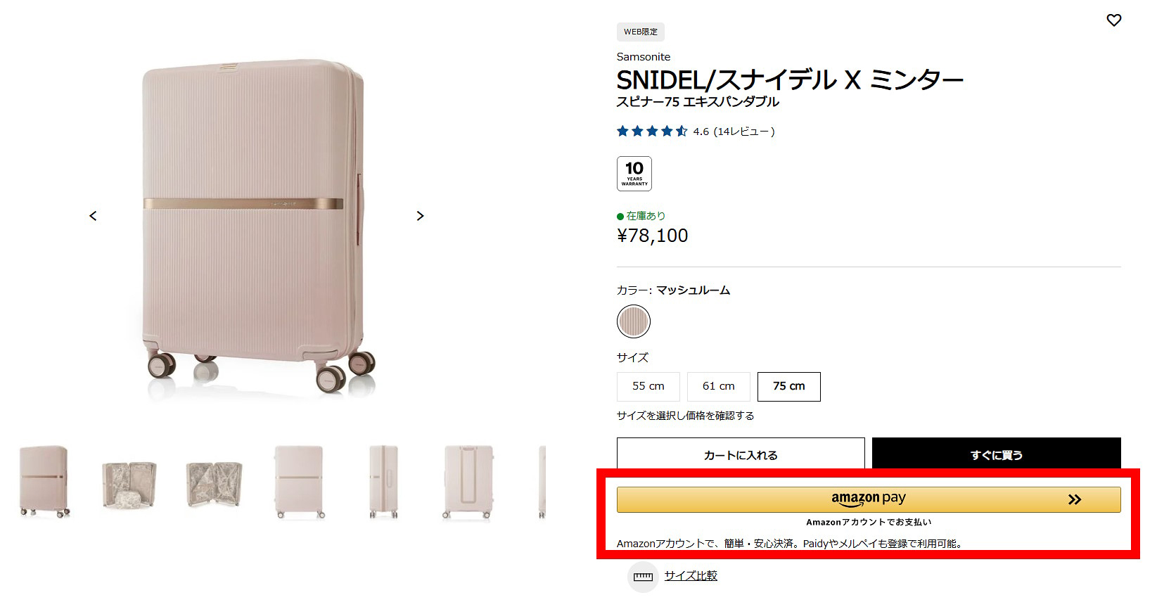 他ブランドとのコラボモデルと「Amazon Pay」実装のイメージ