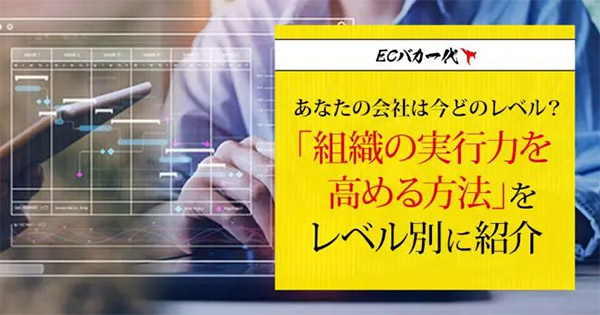 売れる！ EC事業の経営・運営 ネットショップ担当者、チームのための成功法則。 あなたの会社は今どのレベル？「組織の実行力を高める方法」