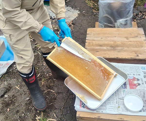 表面の蜜蝋を丁寧にそぎ落とす
