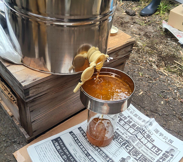 遠心分離機からトロトロと出てくるハチミツ