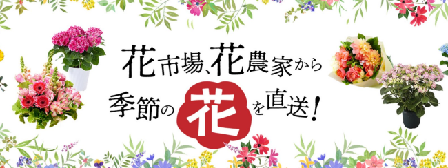 食文化はグルメ生鮮食品のECサイト「豊洲市場ドットコム」で、季節の花を毎月届ける「お花の定期便」を開始した