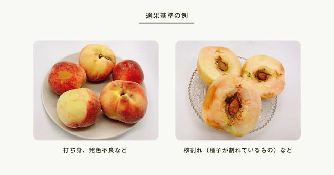 クックパッドは、生鮮食品EC「クックパッドマート」で独自の新たな流通網を構築し、一般に流通していない果物の販売を始めた