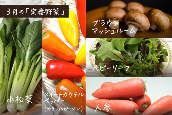 産直アプリ「ポケットマルシェ」 サブスクサービス 季節を味わう旬のお野菜定期便 3月の定番野菜