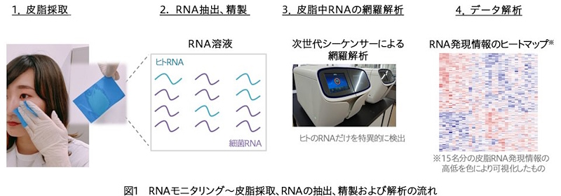 花王が取り組む「皮脂RNAモニタリング」の流れ