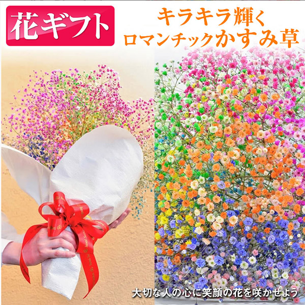 楽天市場 母の日2025 カーネーション以外の花の例
