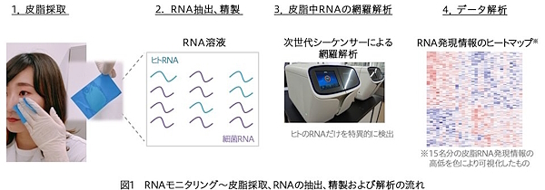 花王独自の「皮脂RNAモニタリング」技術