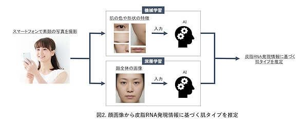 「肌遺伝子モード判定」技術