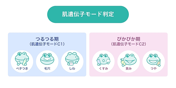 肌遺伝子モードの判定で表示する合計6つのパラメーター