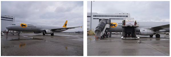 ヤマト運輸、関西国際空港と新千歳空港間で貨物専用機を運航。新鮮な生鮮食品や緊急性の高い貨物のスピード輸送などを実現