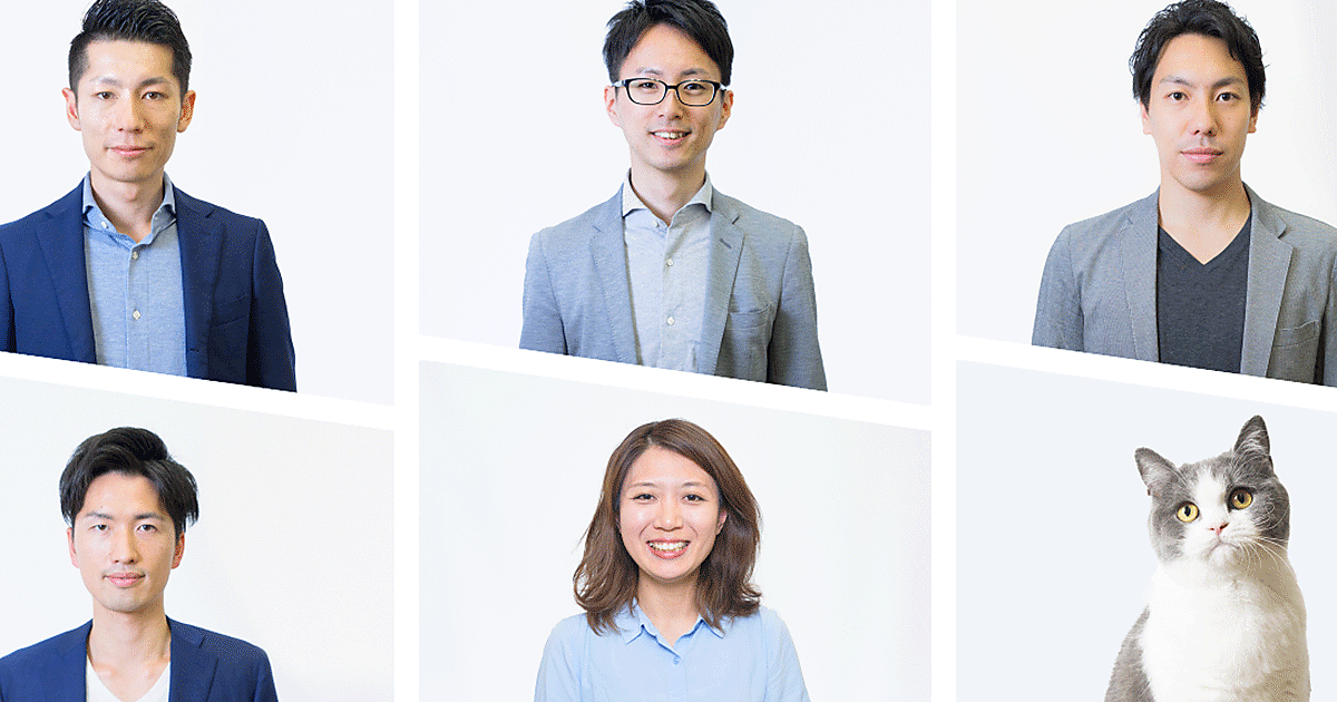 ニャに？ 猫が活躍する職場がある!？ 社員猫「まる美」がもたらすもの