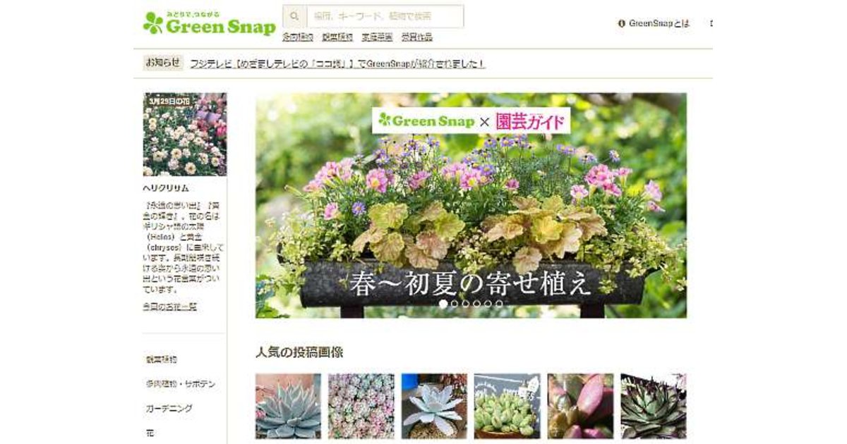 Diyの大都が ガーデニング ネット通販 メディア コミュニティ 領域を強化 ネットショップ担当者フォーラム Diyの大都が ガーデニング ネット通販 メディア コミュニティ 領域を強化 ネットショップ担当者フォーラム