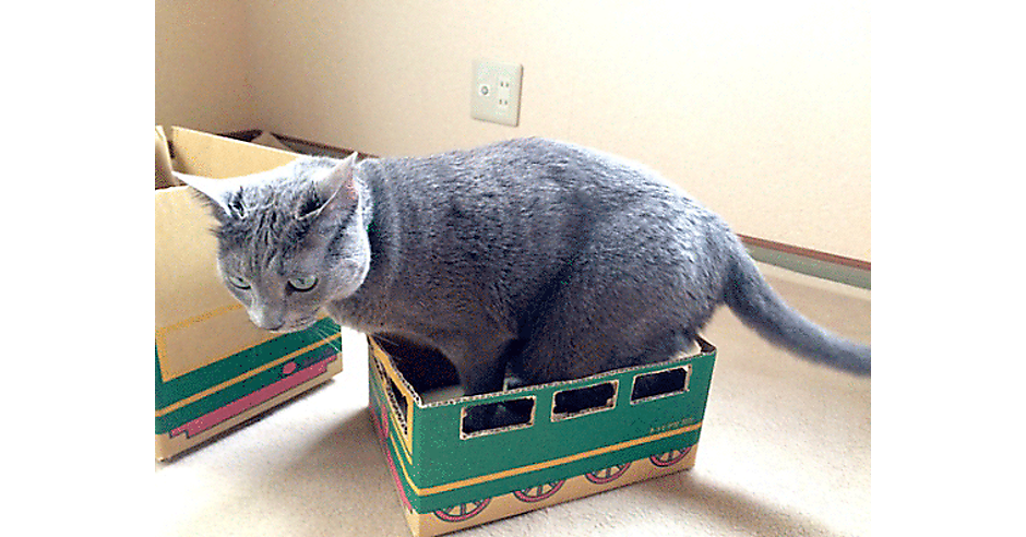 猫好きのひじきさん専用 えっ、猫のヒゲケースが売れる！？ ビーグラッドの「ネコ好きの心」を