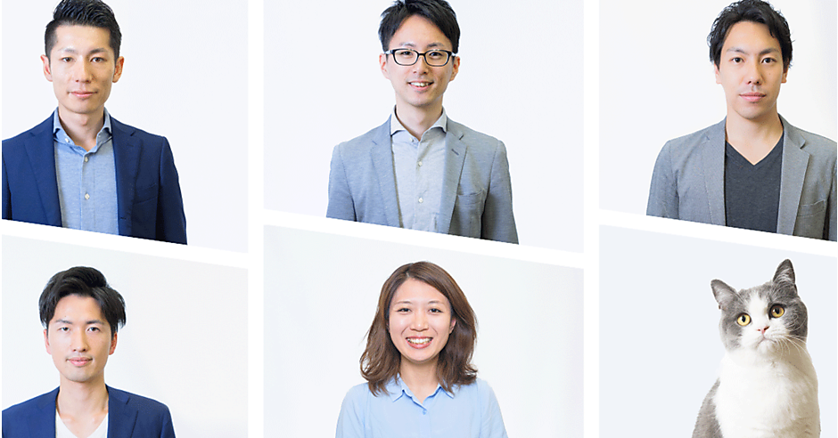 ニャに？ 猫が活躍する職場がある!？ 社員猫「まる美」がもたらすもの