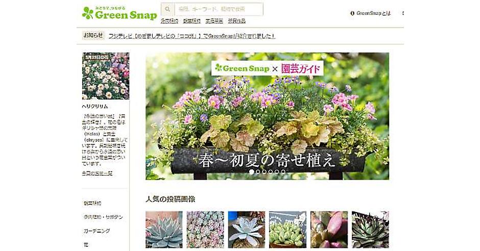 Diyの大都が ガーデニング ネット通販 メディア コミュニティ 領域を強化 ネットショップ担当者フォーラム