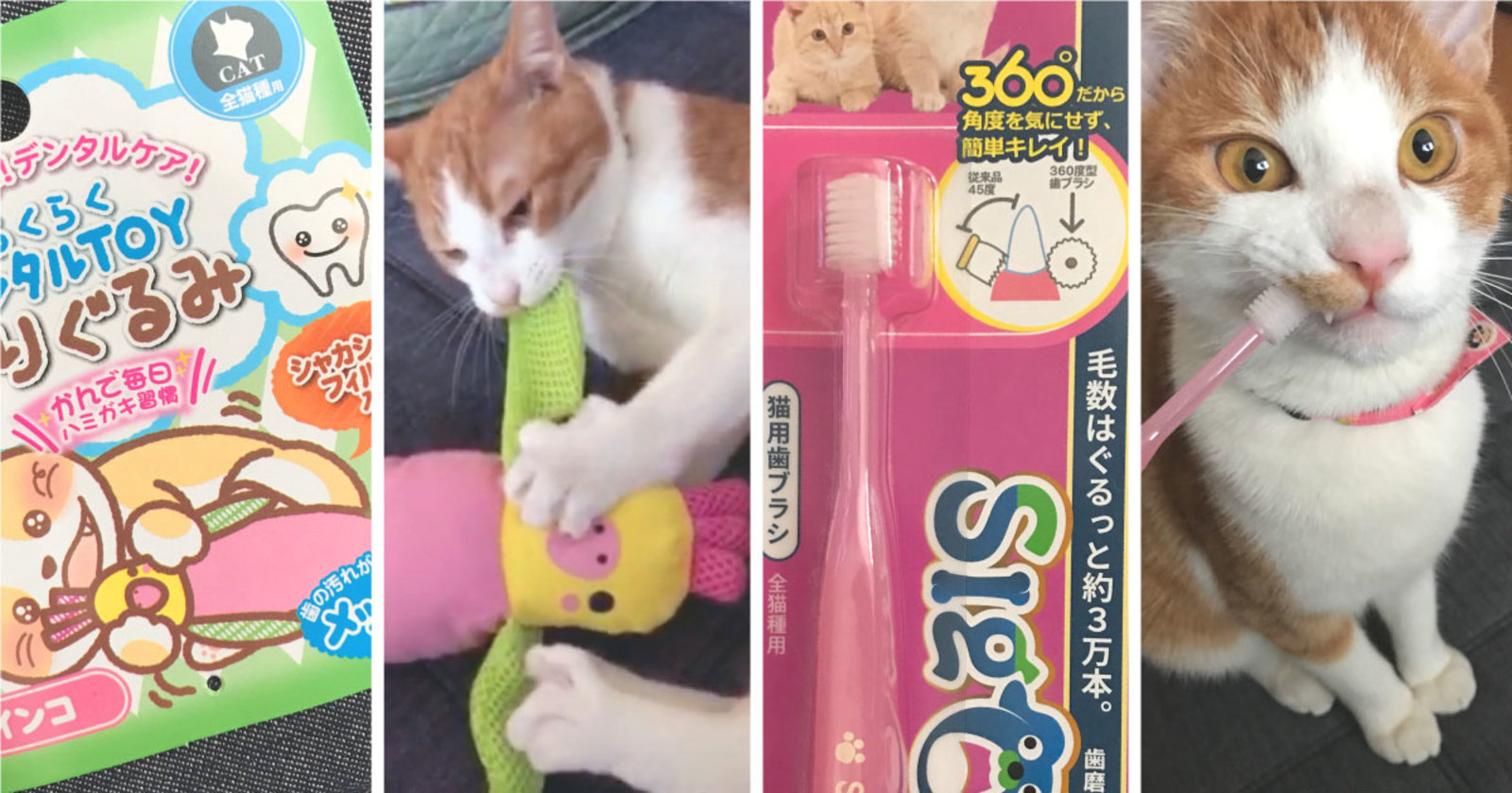 ペットフード ペット用品の販売で知っておくべき規制と法律 健康 美容業界の今を知る ネットショップ担当者フォーラム