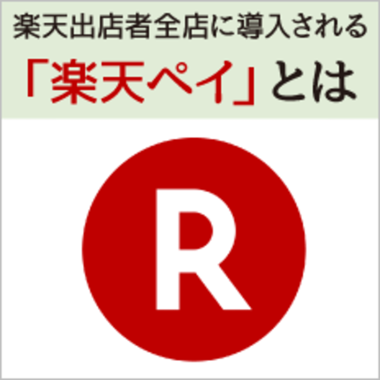 楽天の新決済サービス 楽天ペイ の詳細を徹底解説 全出店者に17 4導入の内容とは ネットショップ担当者フォーラム 楽天の新決済サービス 楽天ペイ の詳細を徹底解説 全出店者に17 4導入の内容とは ネットショップ担当者フォーラム