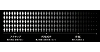 D2Cの見えざる課題とは？ 「アクティブ客の深刻な利用減少」を解決する新サービス「HeranZO（減らん増）」をトリノリンクスがローンチ