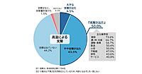 【猛暑・酷暑の企業動向調査】5割が猛暑・酷暑で業務に支障、業界別で「小売」は5割、「卸売」は43%