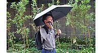 酷暑需要で販売数2倍超、「洋服の青山」で「日傘」が好調の理由
