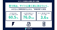 AIで買い物をする時代の消費行動とは？ 6割がECサイトへの移動に不満、価格の食い違いが摩擦を増幅