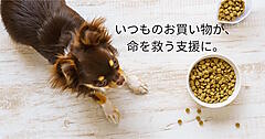 買い物するだけで「推し」を支援できるペット用品EC。購入金額の10%が保護団体への寄付になるサイトがオープン