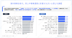 越境・海外ECは何が負担？ 「法規制・コンプライアンスへの対応」「導入・運用時における日本語サポートの不足」