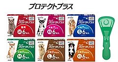 ペットゴー、動物病院チャネルへの販売を強化。動物病院大手のシグニと共同ブランディング＋限定取扱製品の開発などを推進
