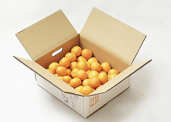 「知名度に欠けるものの、味が良いみかんを広めたい」という中田氏の思いは達成された