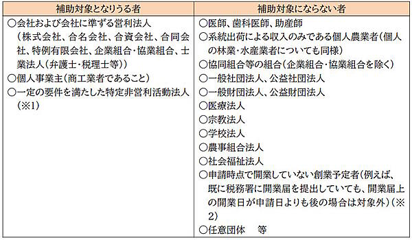 自分で申請できる！ EC担当者が知るべき小規模事業者持続化補助金とは？