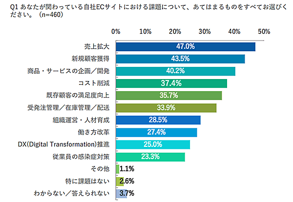 シナブルの調査「⾃社ECサイトの課題」 自社ECサイトにおける課題