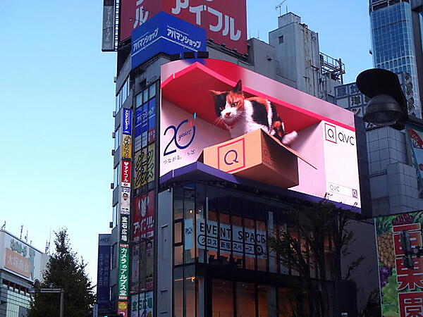 テレビ通販2位のQVCジャパンは12月13日から、関東を中心とした全国主要都市で初となる地上波テレビCMの放送を始めた　「クロス新宿ビジョン」でのプロモーション用3D動画