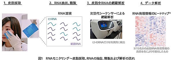 花王が取り組む「皮脂RNAモニタリング」の流れ