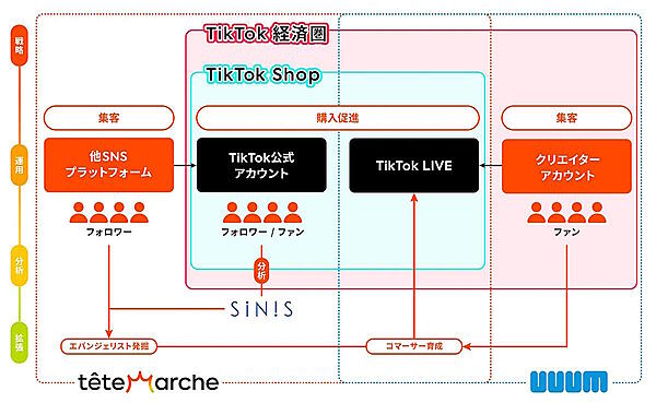 UUUMとテテマーチは6月3日、「TikTok」のECプラットフォーム「TikTok Shop」に出店する企業・ブランド（セラー）向けに、統合的なアカウント運用および販促支援ソリューション「TikTok Shop」コマース総合支援サービスを始めると発表した