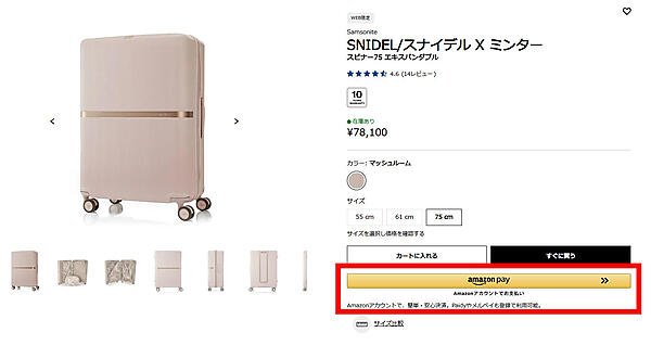 他ブランドとのコラボモデルと「Amazon Pay」実装のイメージ