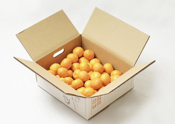 猫専用こたつ」がヒットした秘訣とは。 販売価格は市場価格の2倍