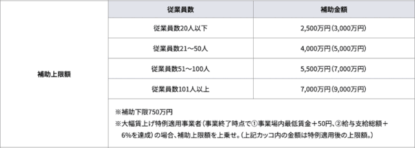 新事業への投資を最大9000万円補助する「中小企業新事業進出補助金」とは？