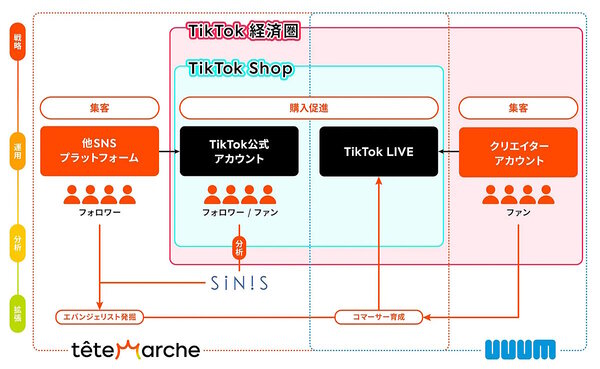 UUUMとテテマーチは6月3日、「TikTok」のECプラットフォーム「TikTok Shop」に出店する企業・ブランド（セラー）向けに、統合的なアカウント運用および販促支援ソリューション「TikTok Shop」コマース総合支援サービスを始めると発表した