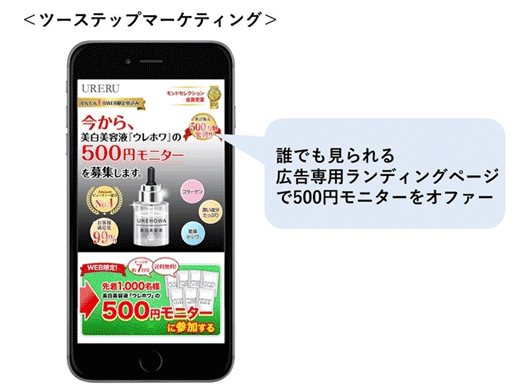 図：誰でも見られる広告専用ランディングページで500円モニターをオファー